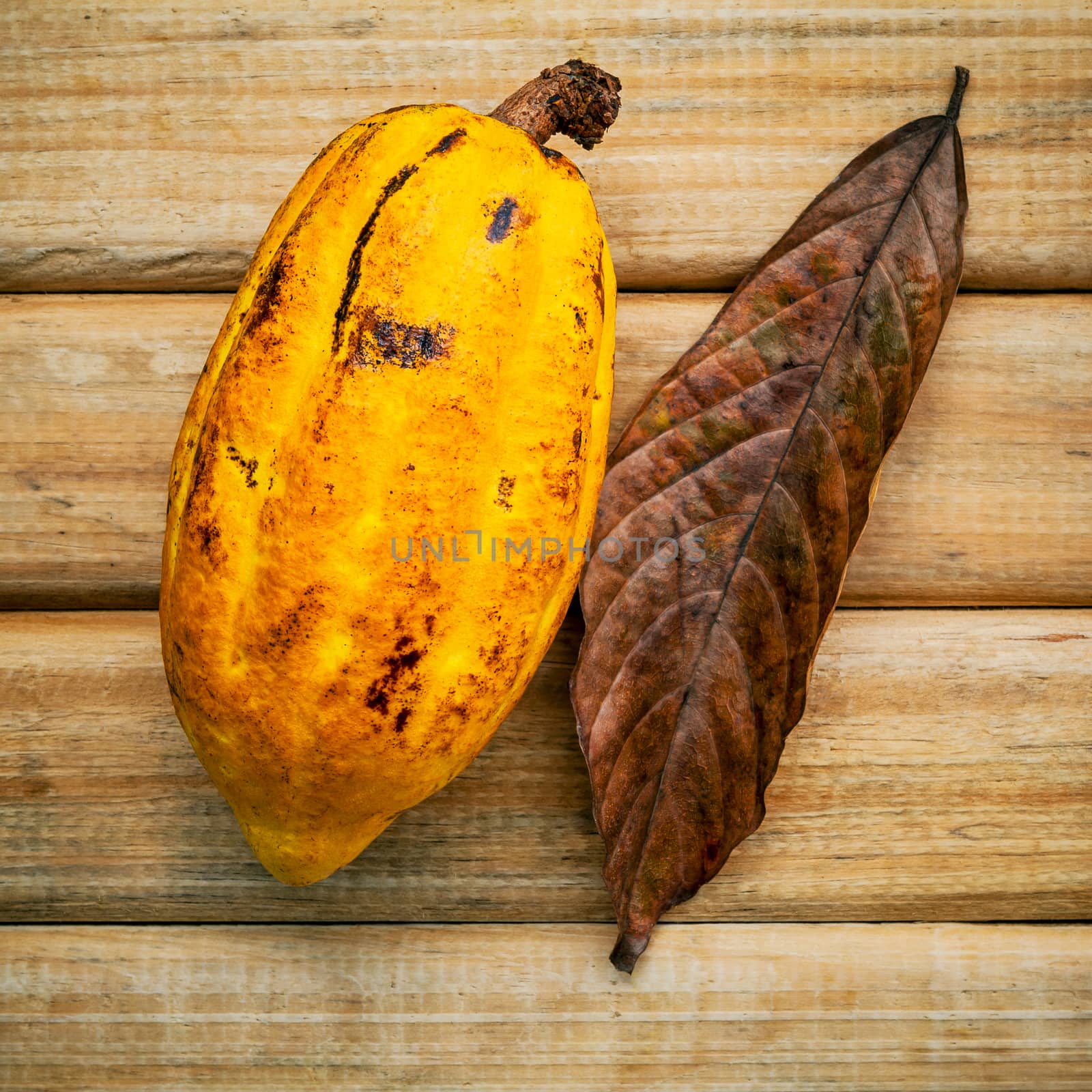 Ripe Indonesia's cocoa  setup on rustic wooden background.