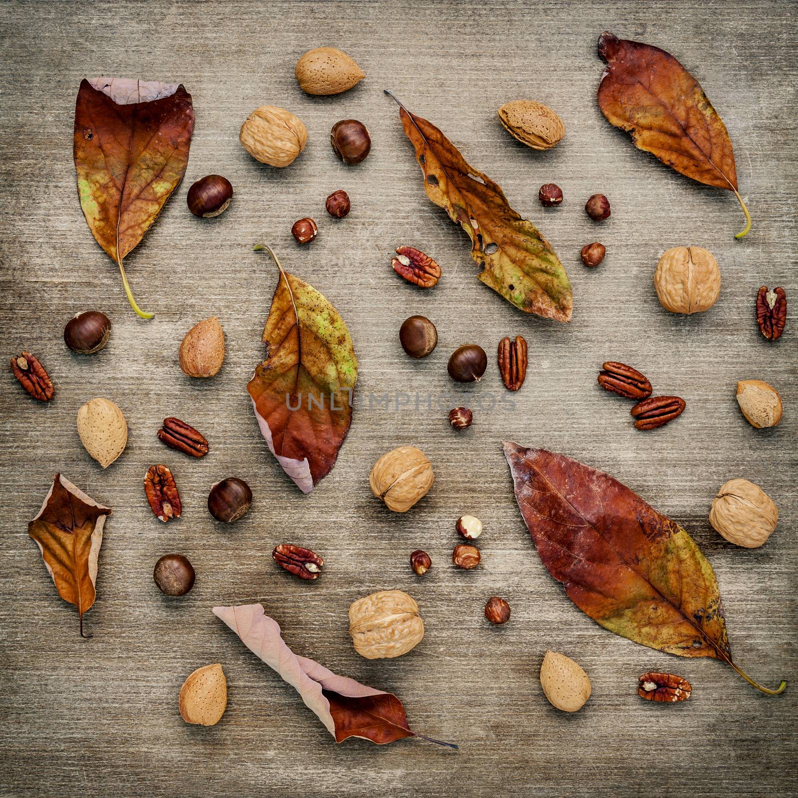 Different kinds of nuts walnuts kernels ,hazelnuts, almond kernels and pecan with dried orange leaves set up on rustic wooden background.