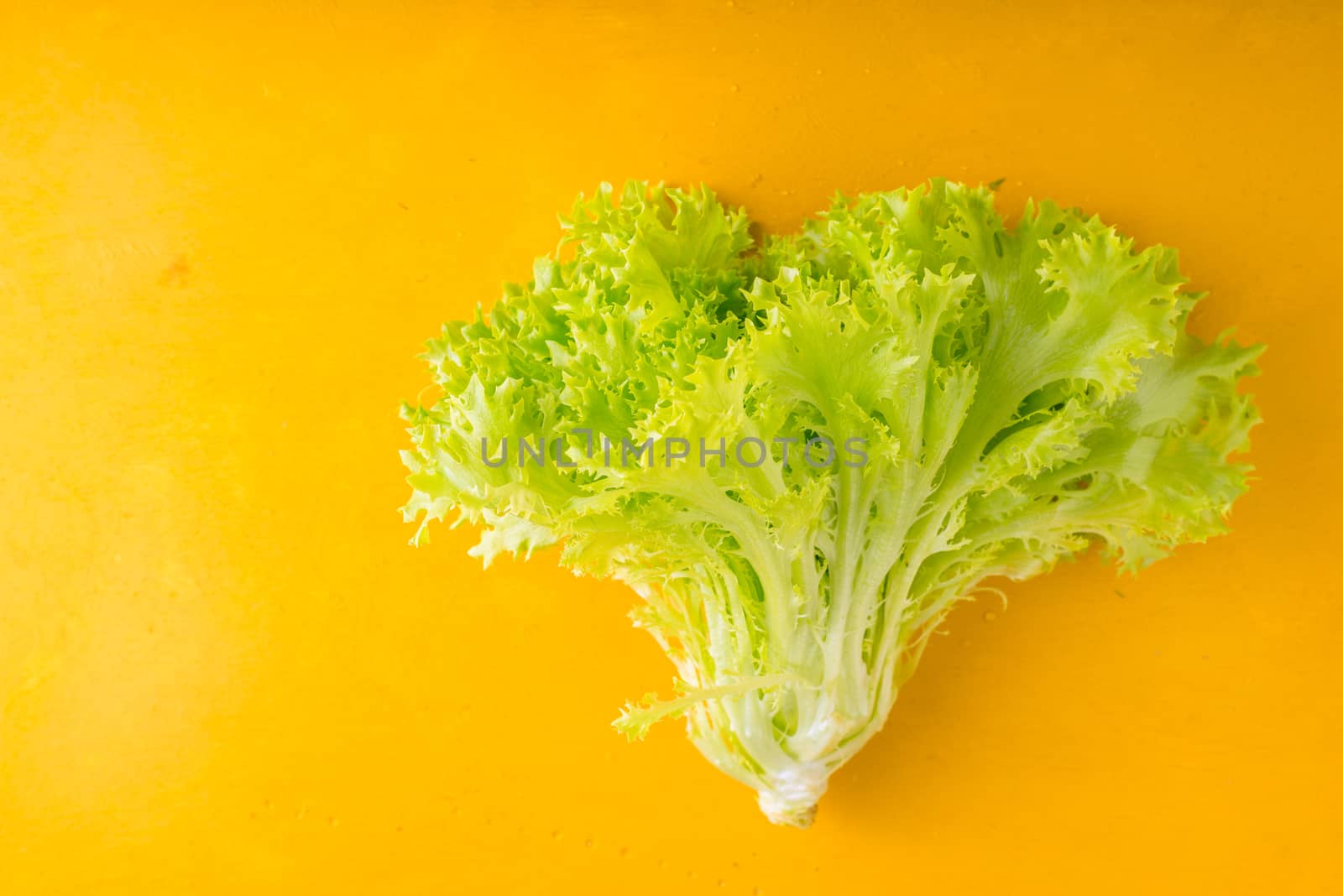 Leafy green salad on a yellow table horizontal