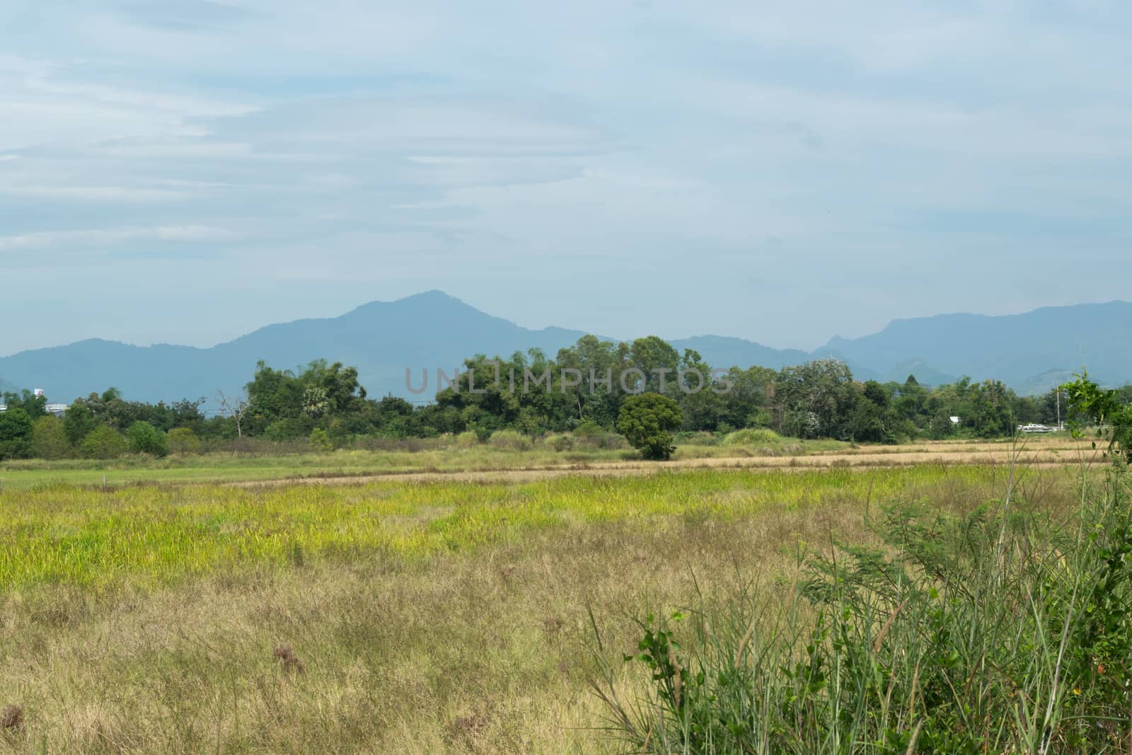 fields and mountains with a blue sky