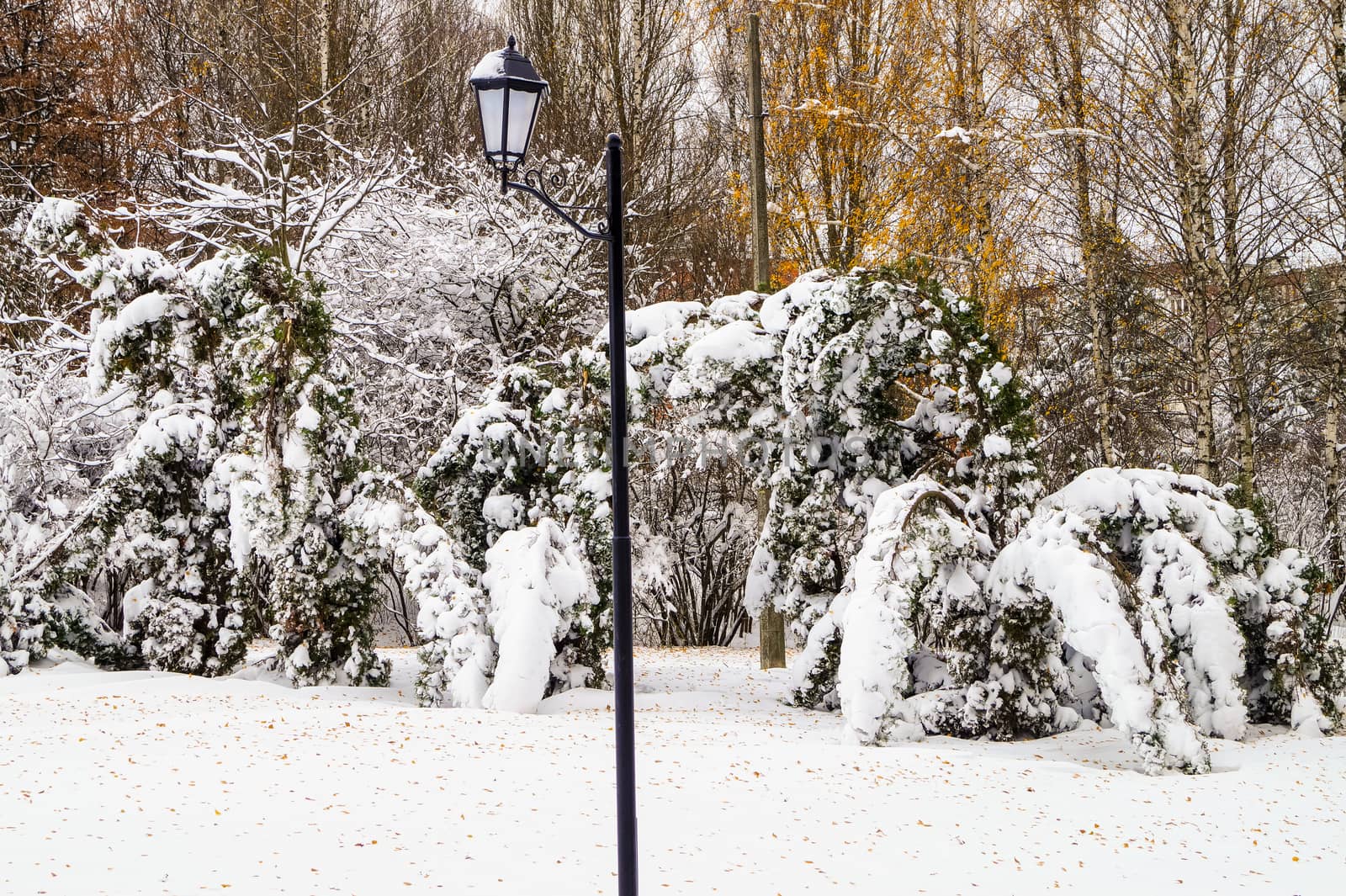 the lone lantern in the park in the winter by Oleczka11