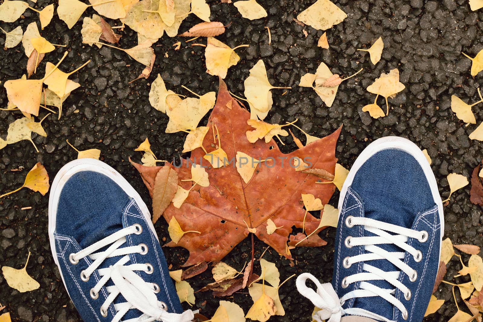 Blue canvas shoe pair on fallen autumn leaves in horizontal frame