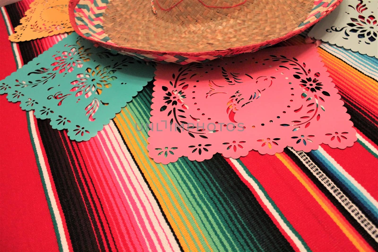 Mexico poncho sombrero skull background fiesta cinco de mayo decoration bunting  by cheekylorns