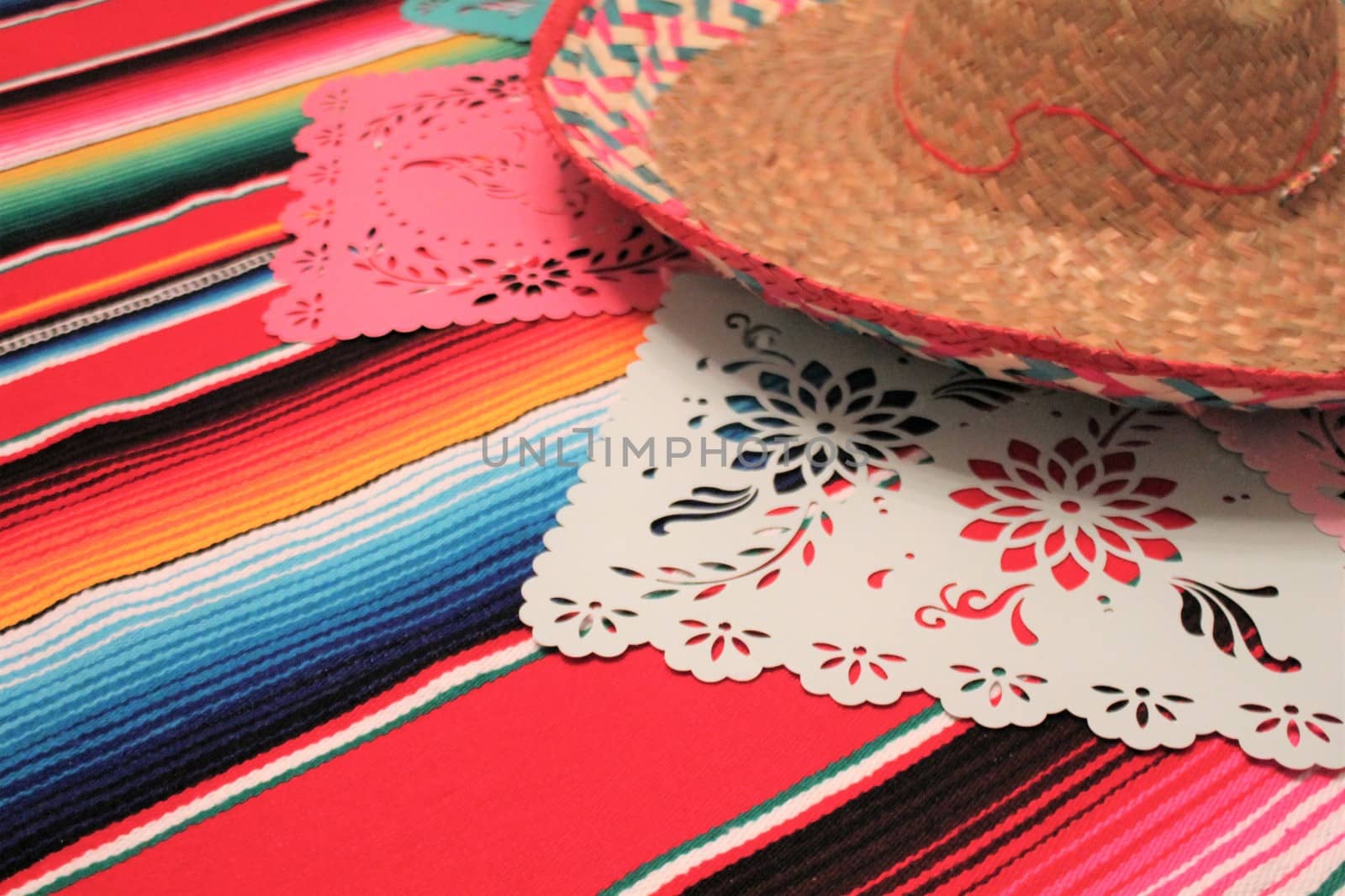 Mexico poncho sombrero skull background fiesta cinco de mayo decoration bunting  by cheekylorns