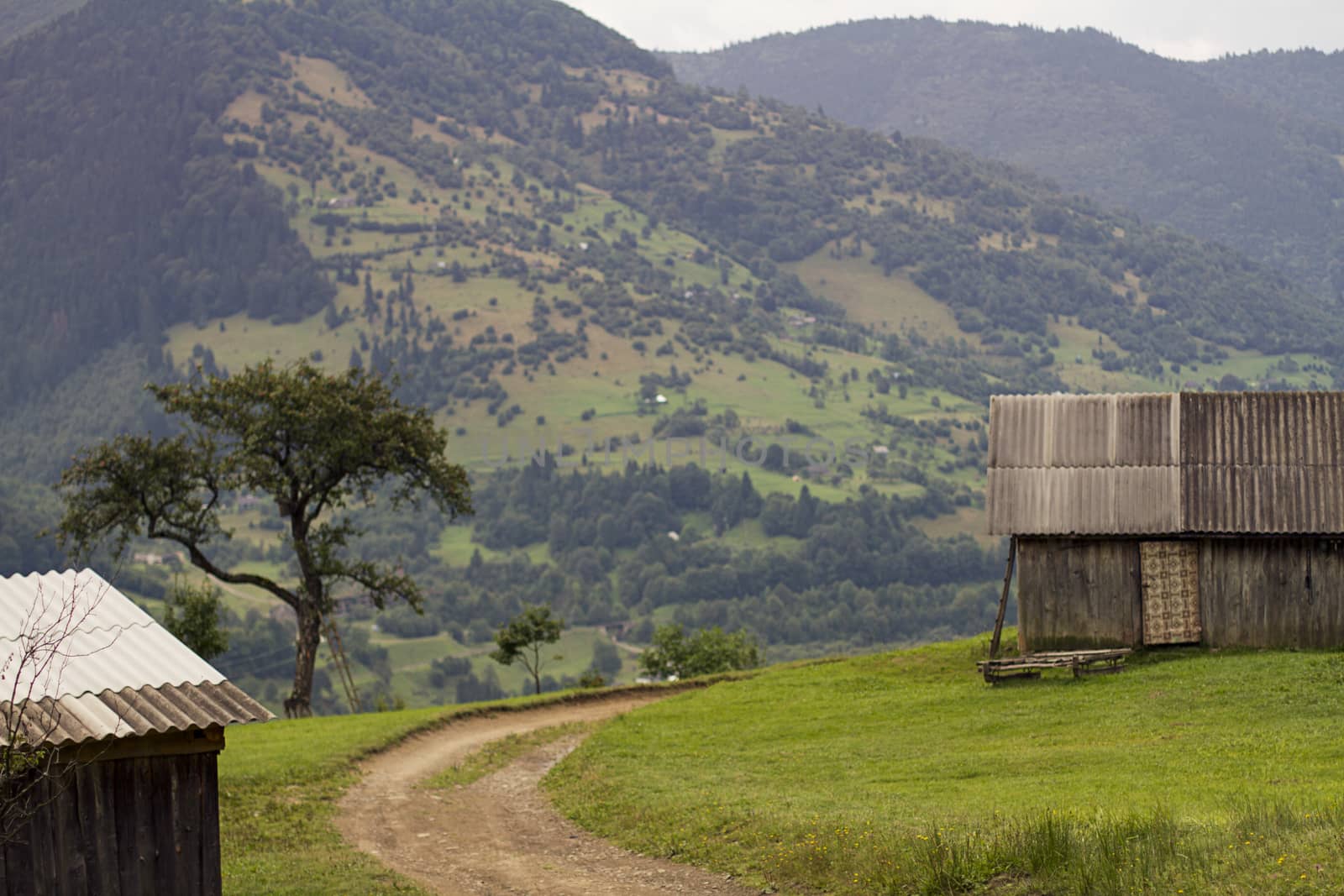 Wide panoramic scenic view at high mountain summer landscape in mountains  Carpathians, Ukraine