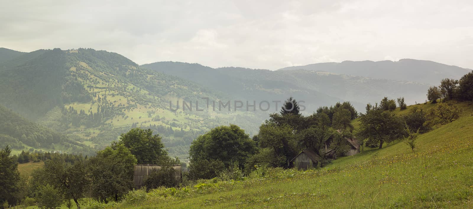 Wide panoramic scenic view at high mountain summer landscape in mountains  Carpathians, Ukraine