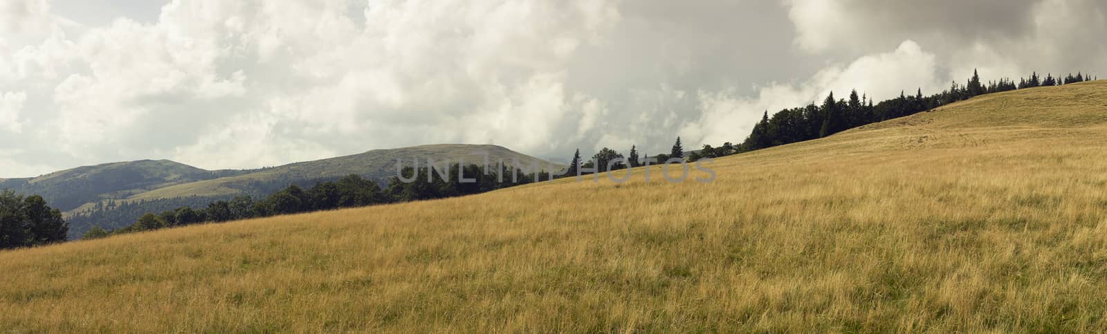 Wide panoramic scenic view at high mountain summer landscape in mountains  Carpathians, Ukraine