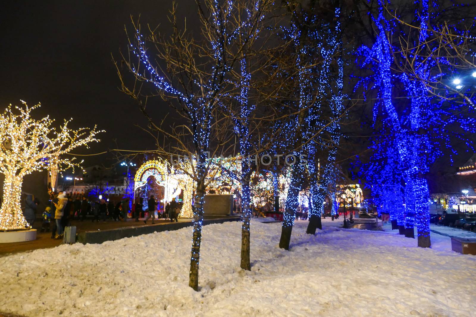 Russia Moscow in December 2016. Trees in Christmas decorations