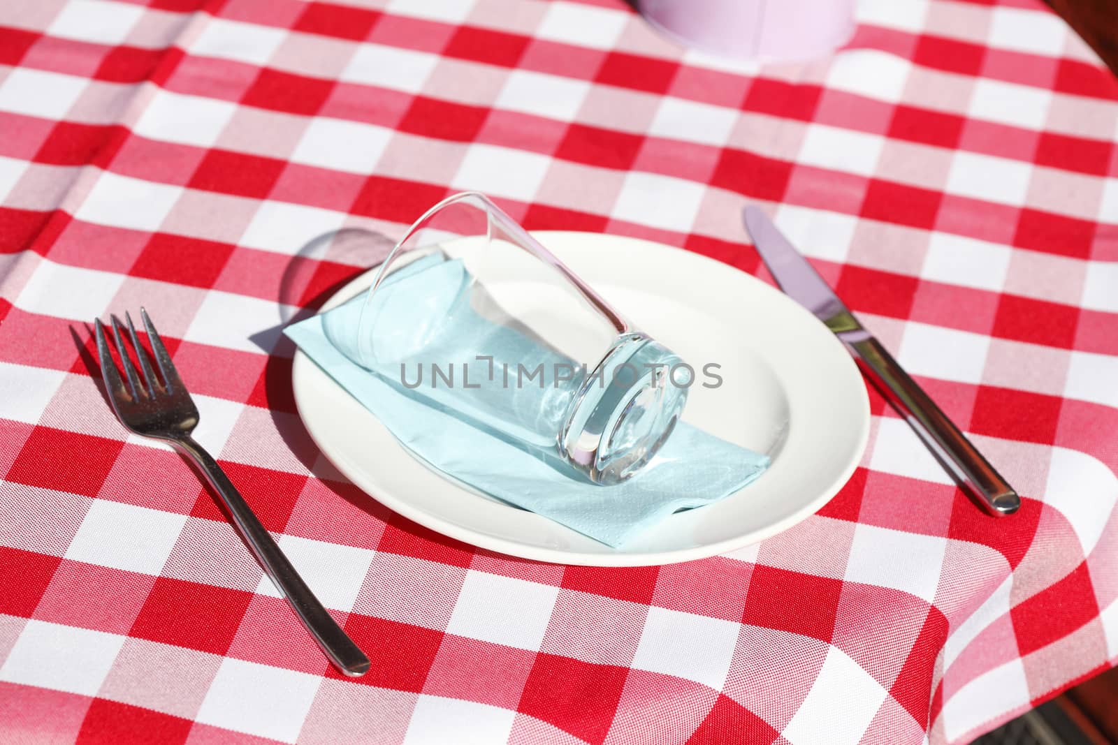 Checked table cover, cutlery, plate, glass 
