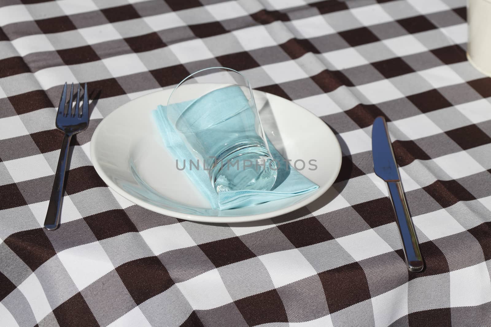 Checked table cover, cutlery, plate, glass 