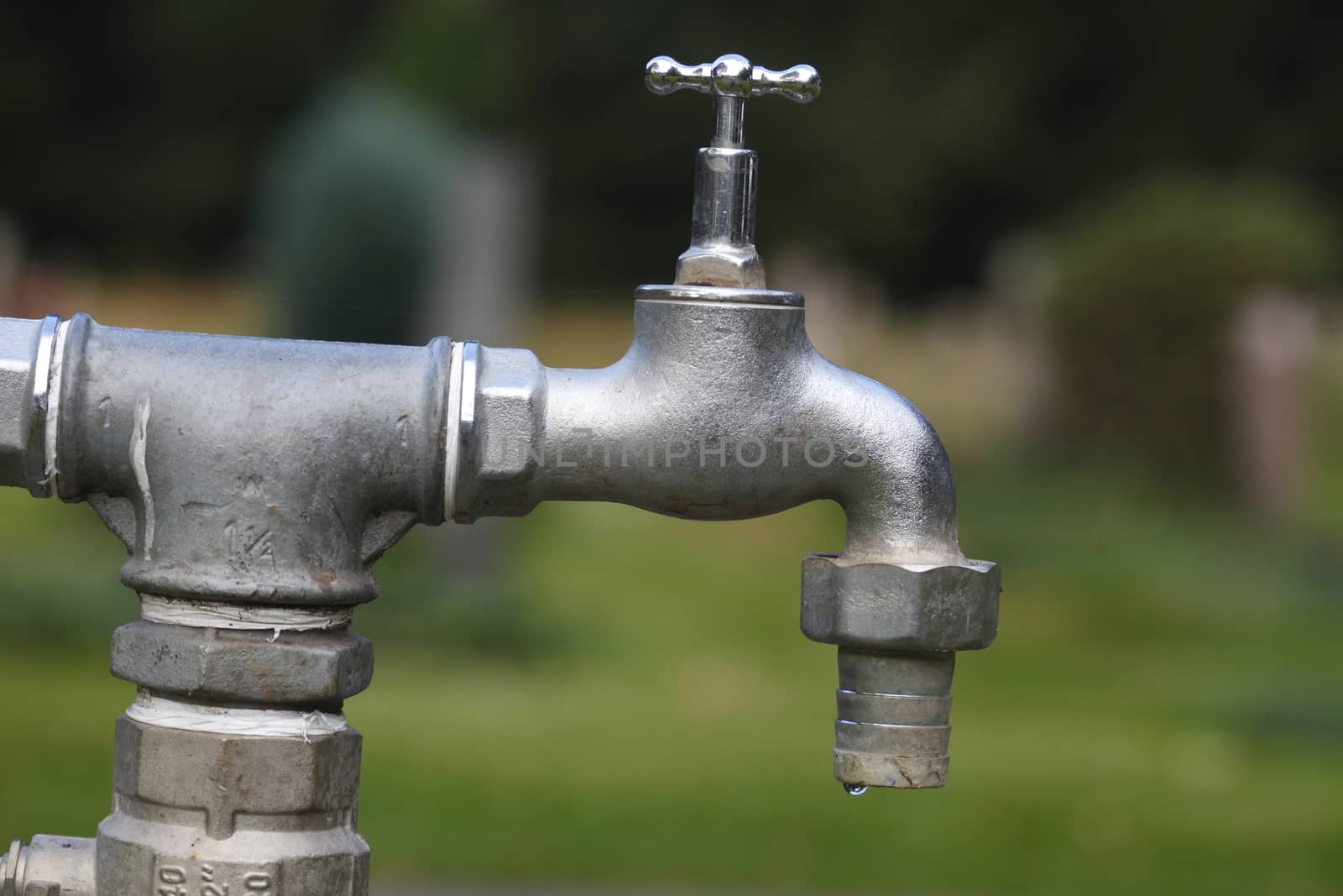 metal water tap in garden