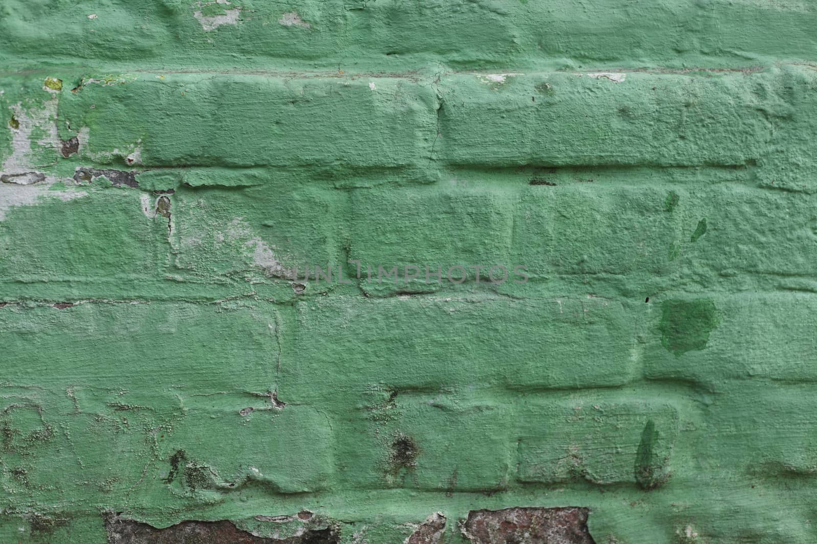 green Bricks in a Wall