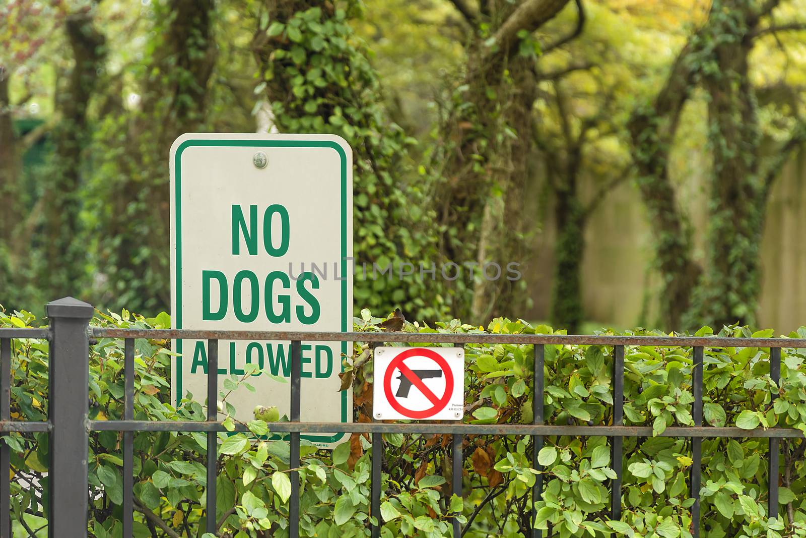 No Dogs and no guns Allowed On The Grass Area Sign