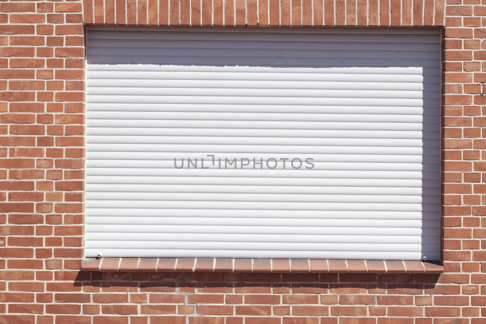 Windows with closed shutters on a red House Wall