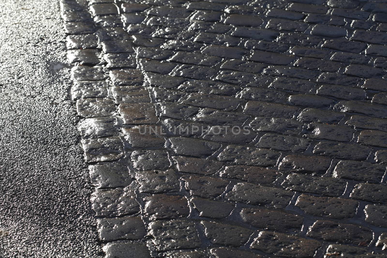 wet glittering paving stones on street