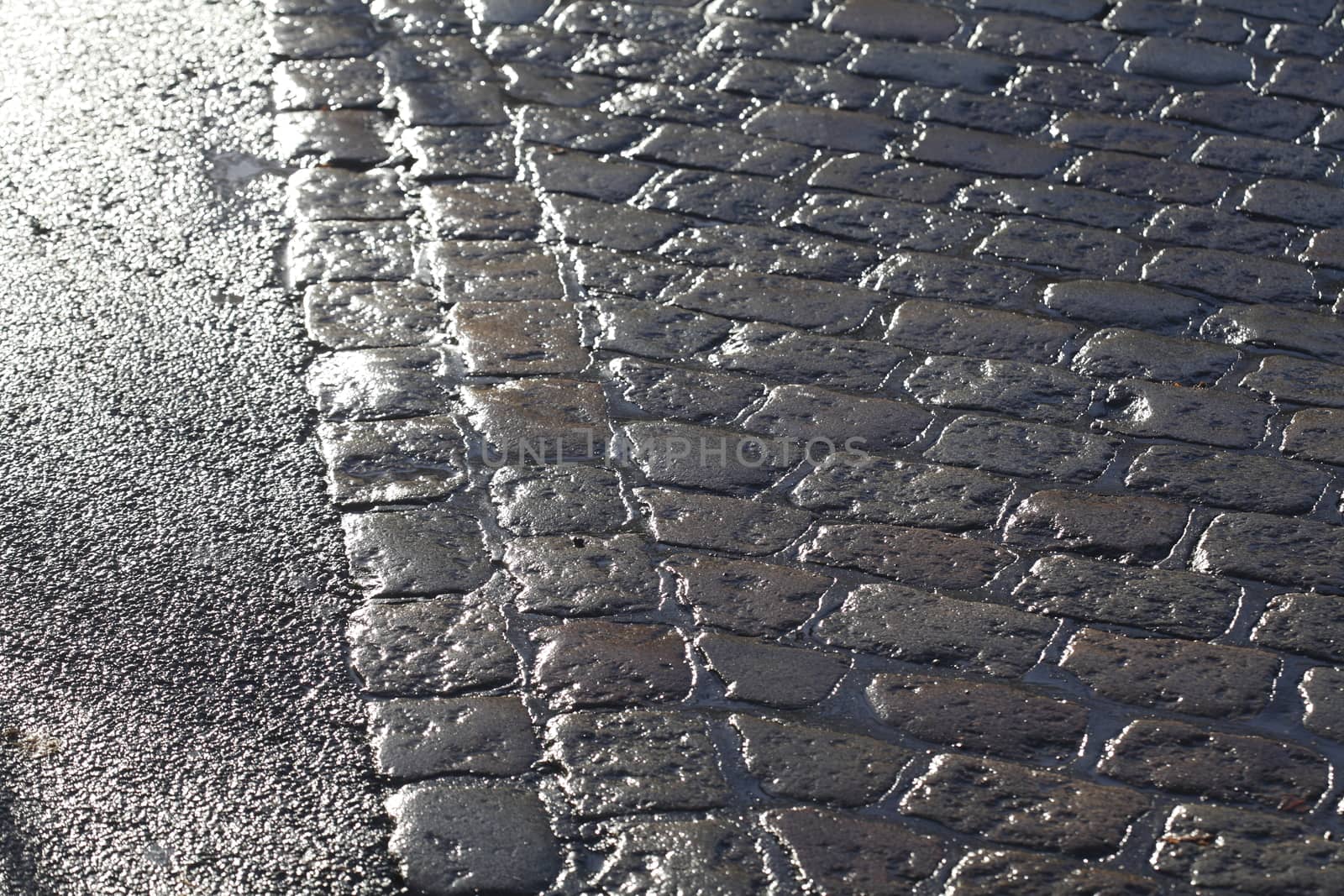 wet glittering paving stones on street