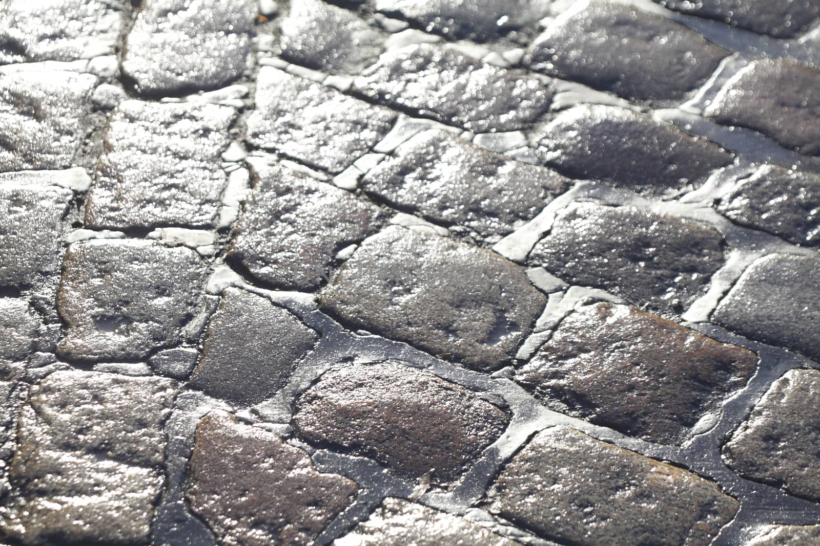 wet glittering paving stones on street