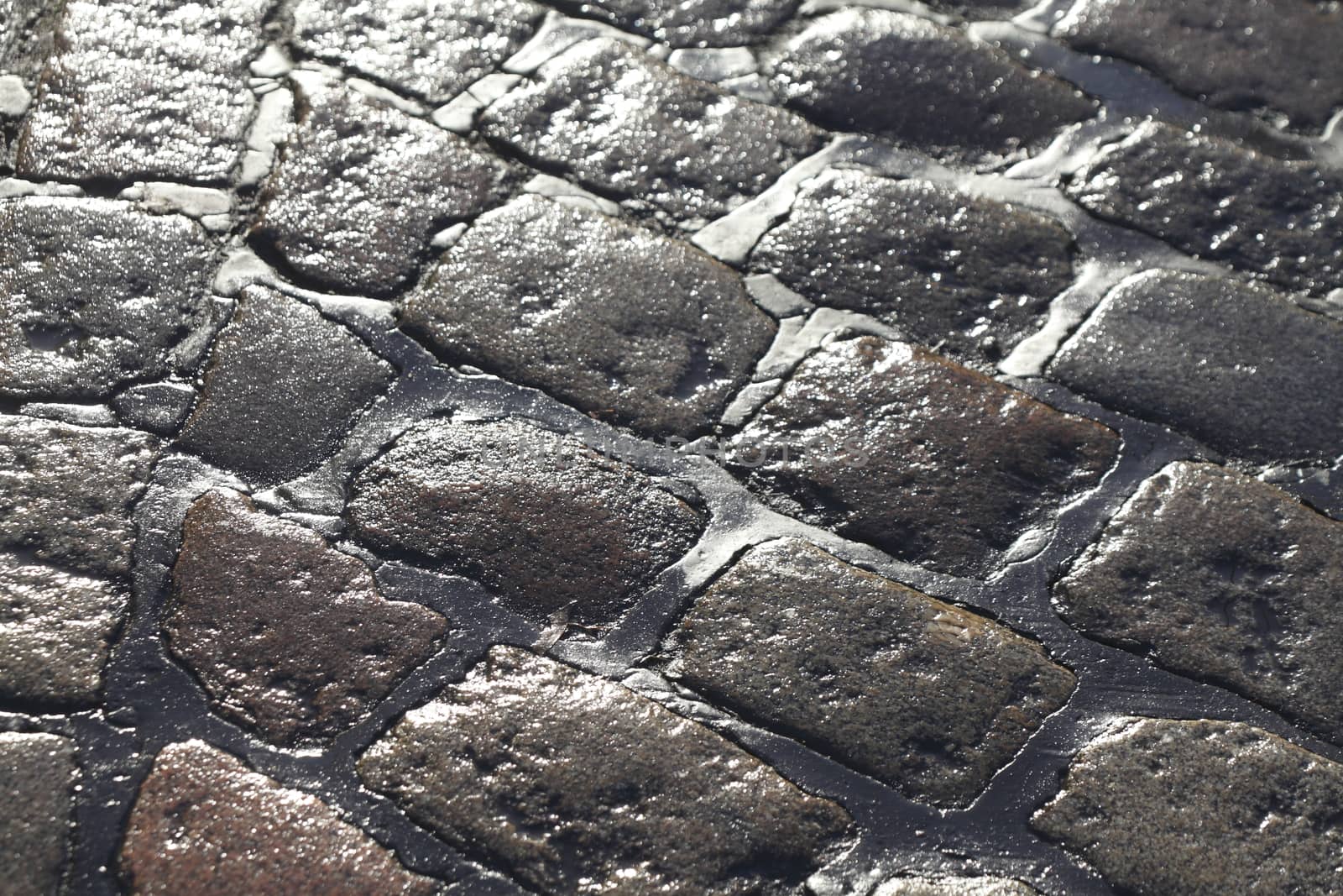 wet glittering paving stones on street