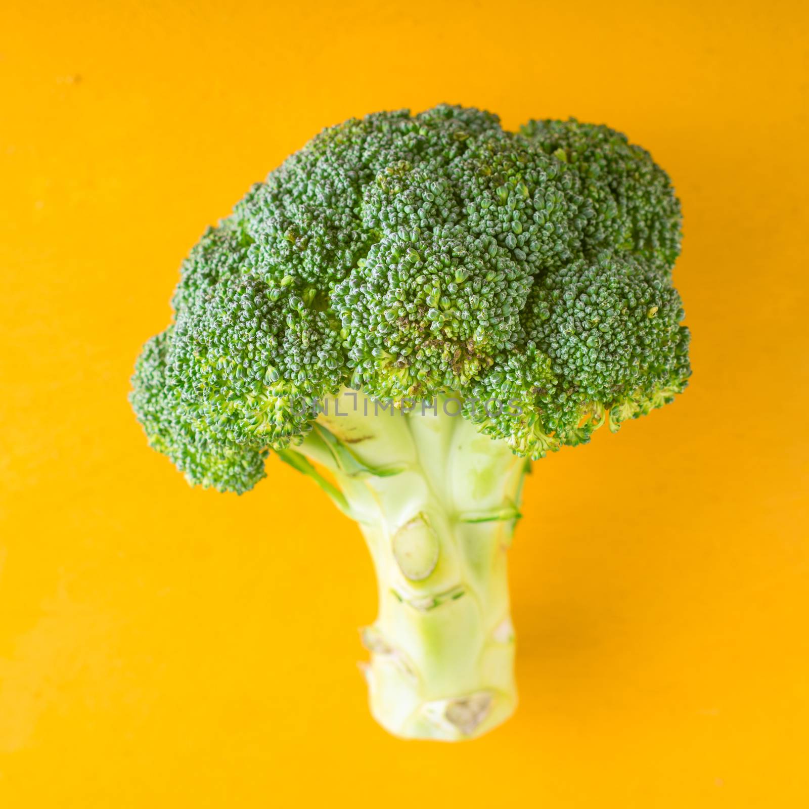 Farmer broccoli on a yellow background square