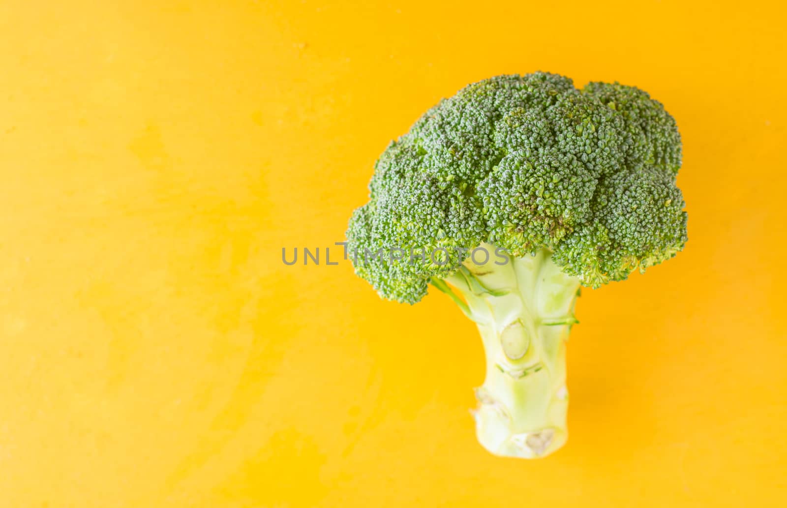 Broccoli on a yellow background horizontal