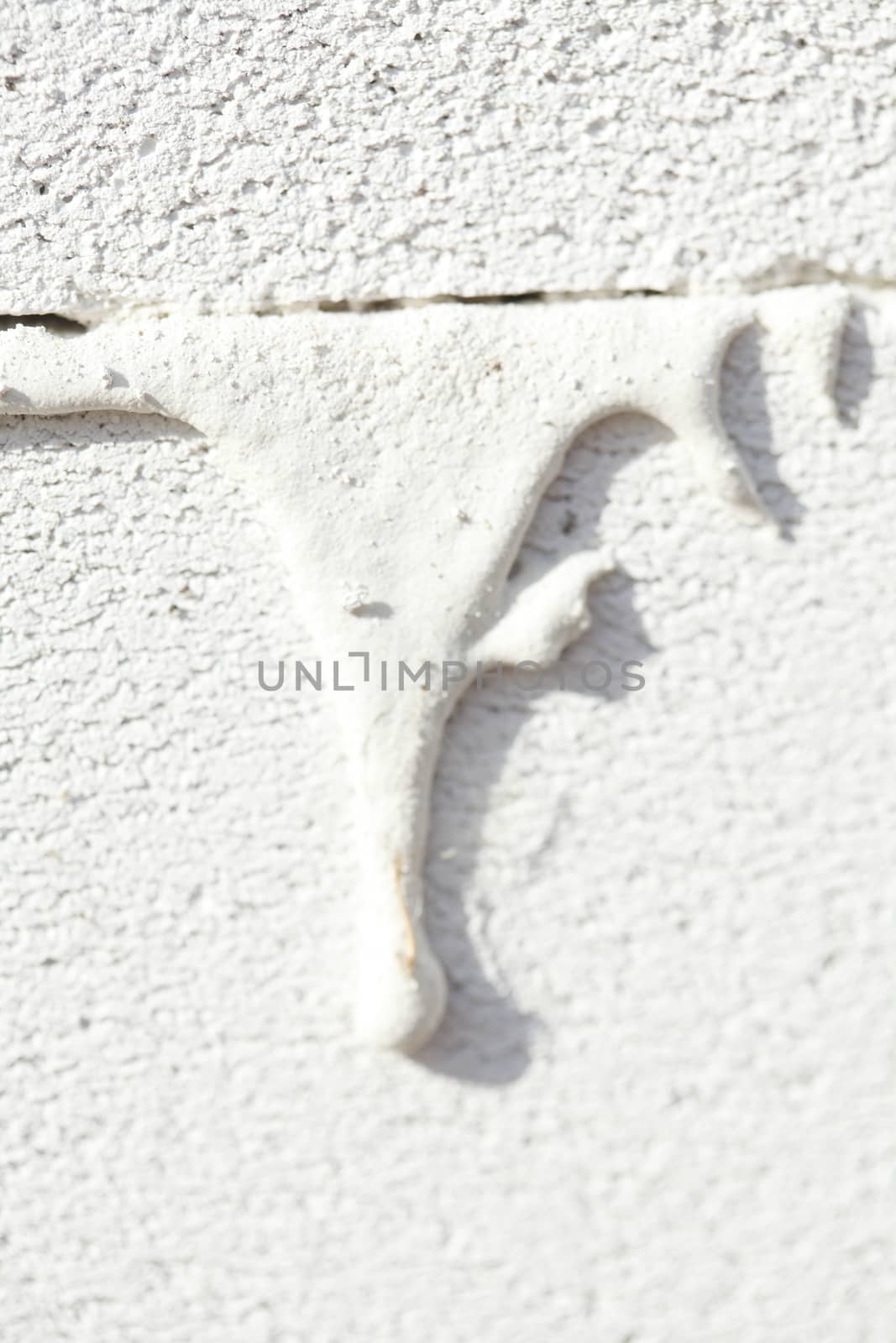  White Bricks in a Wall