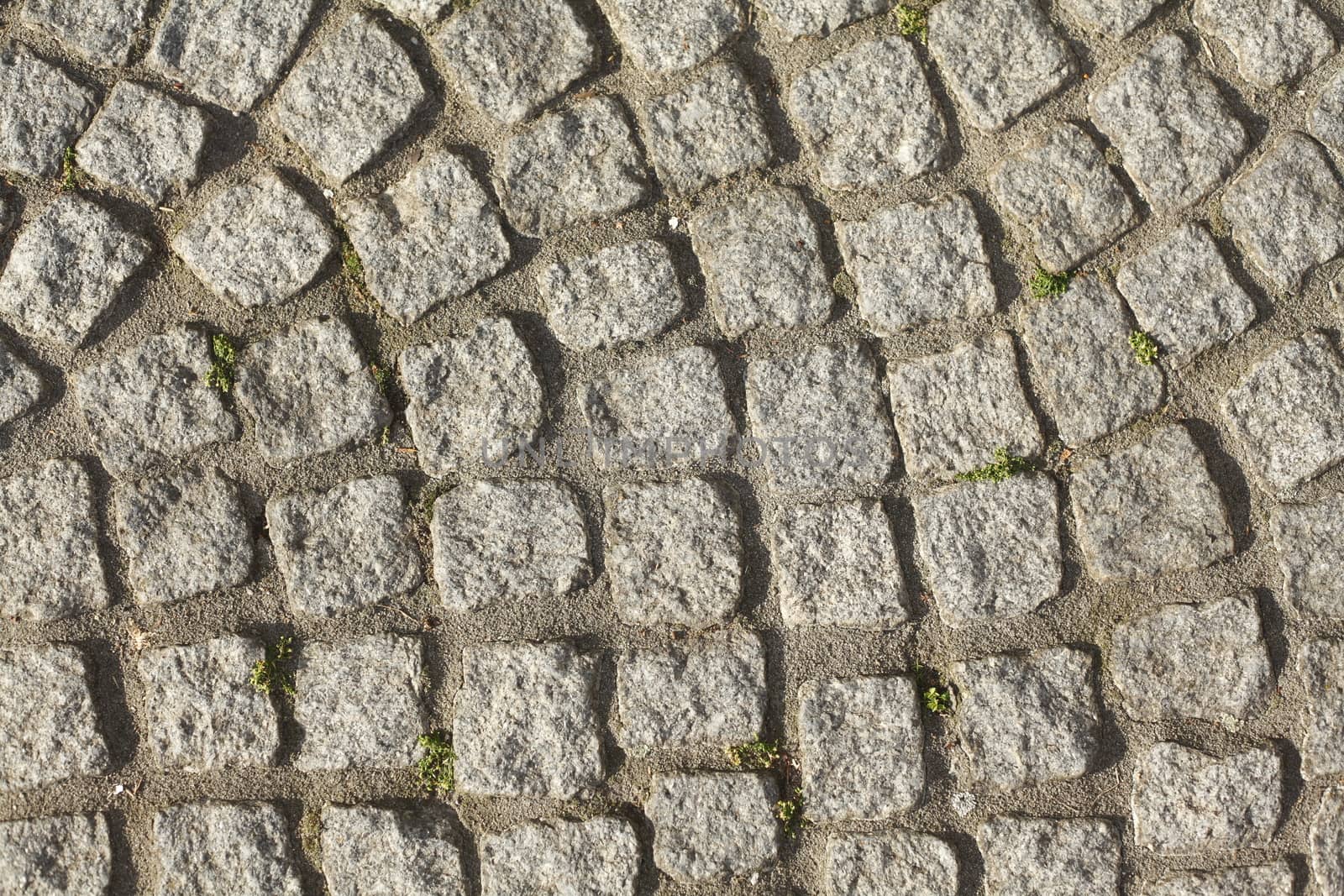 Paving Stones