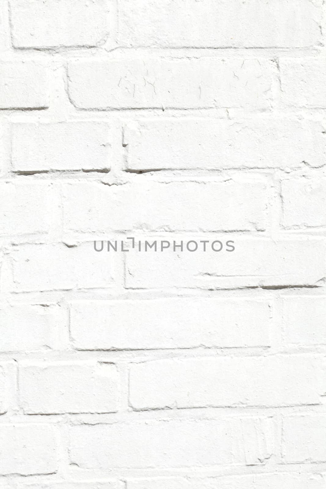 White Wall