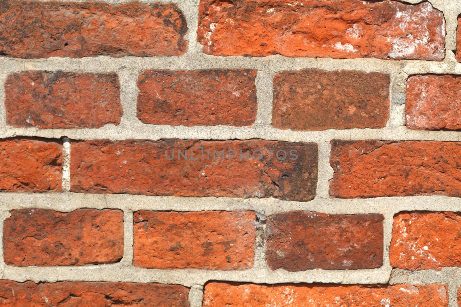 Red Wall