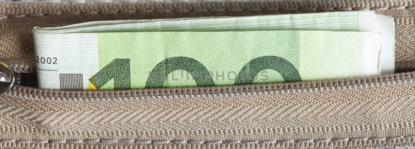 100 Euro Bill in Money Belt