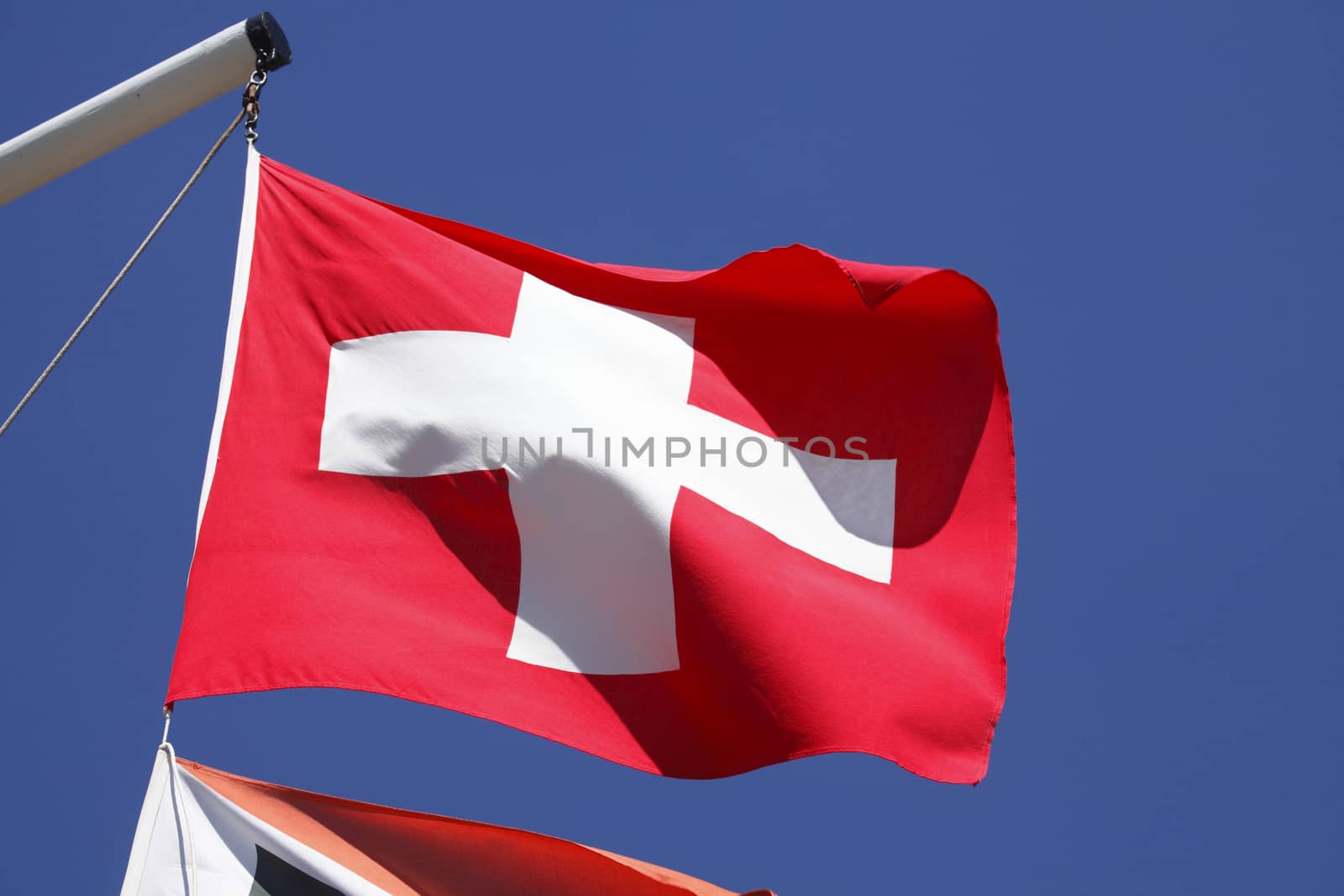 Swiss  Flag