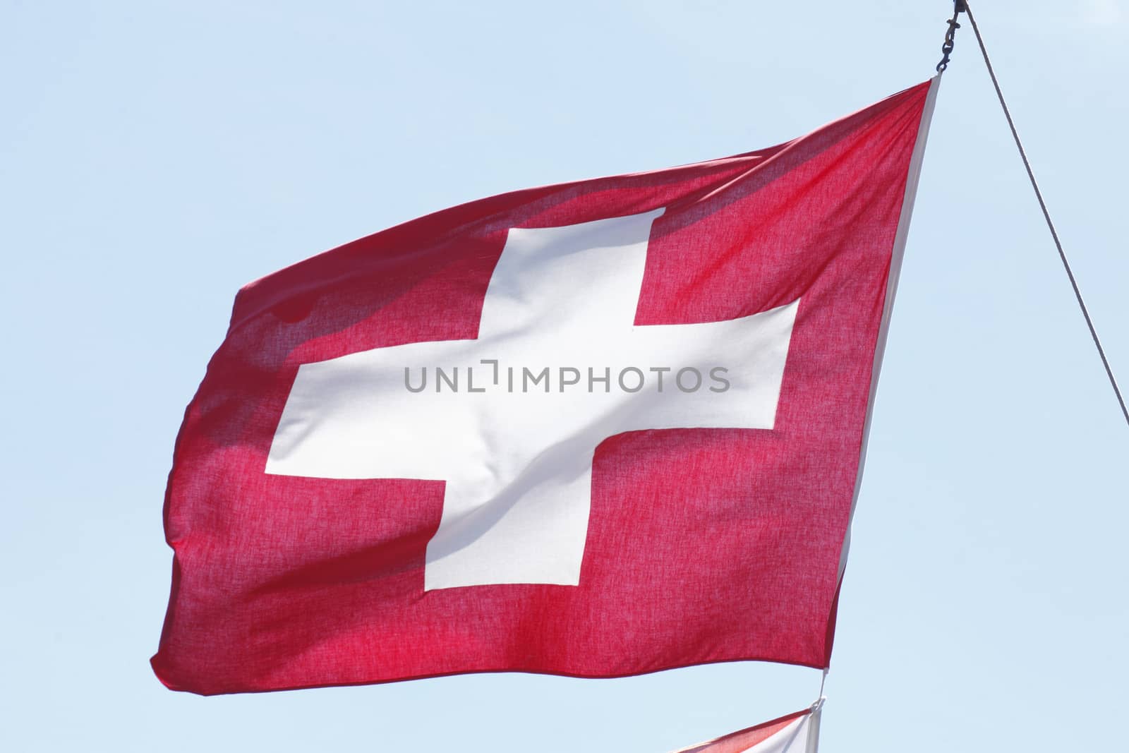Swiss  Flag
