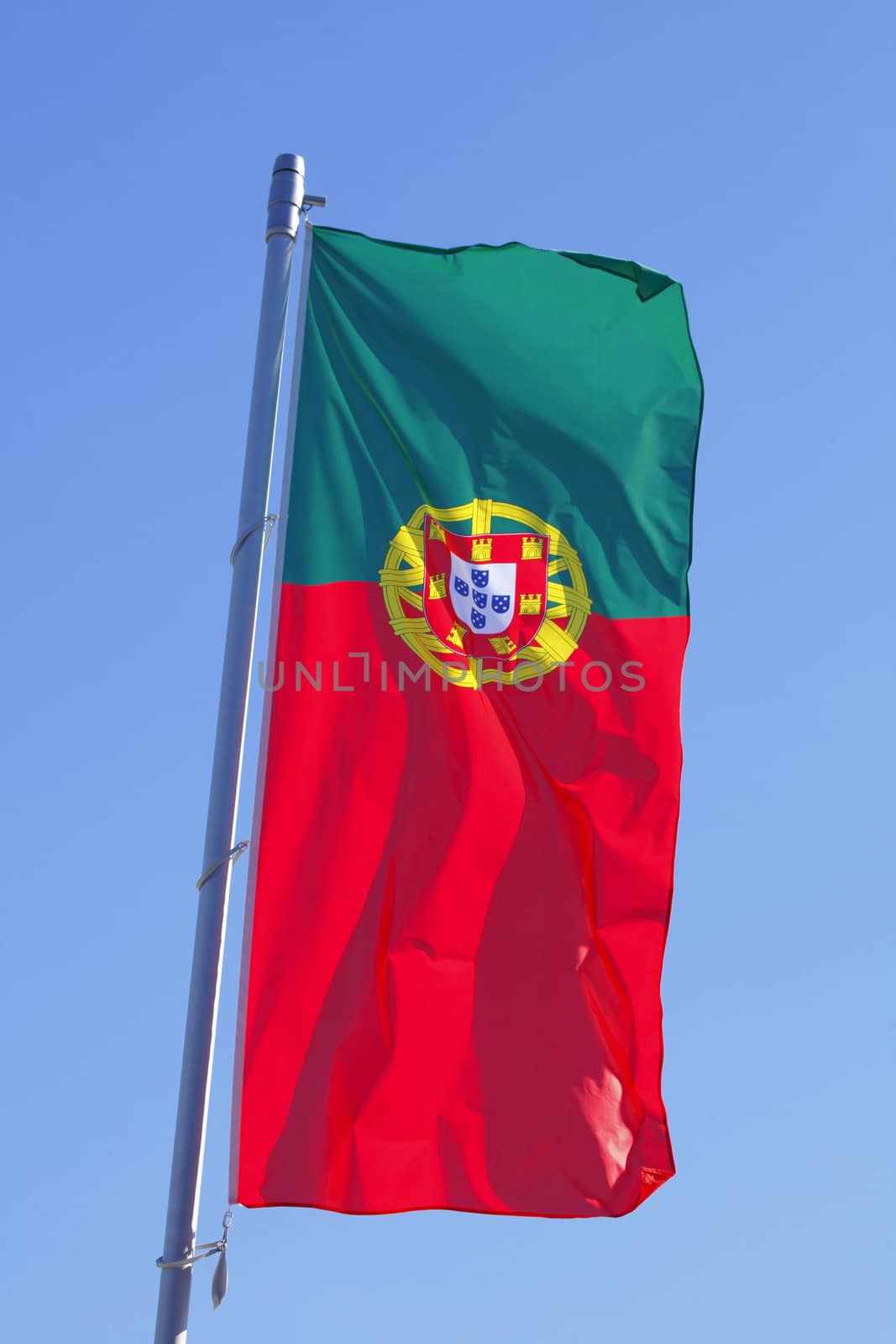 Portuguese Flag