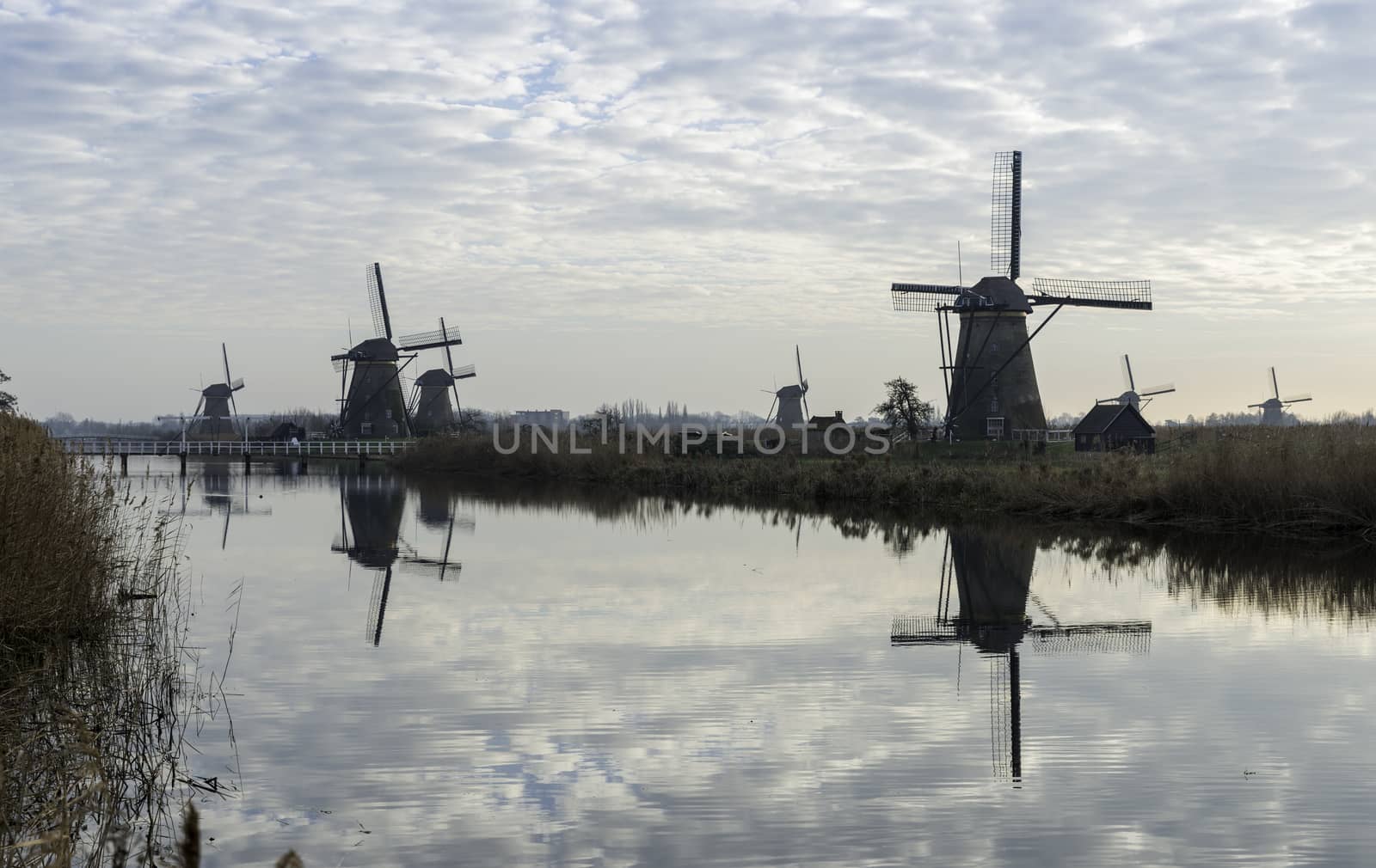 UNESCO World Heritage group of windmills in Kinderdijk in Holland europe, windmills at the water with reflection and twilight