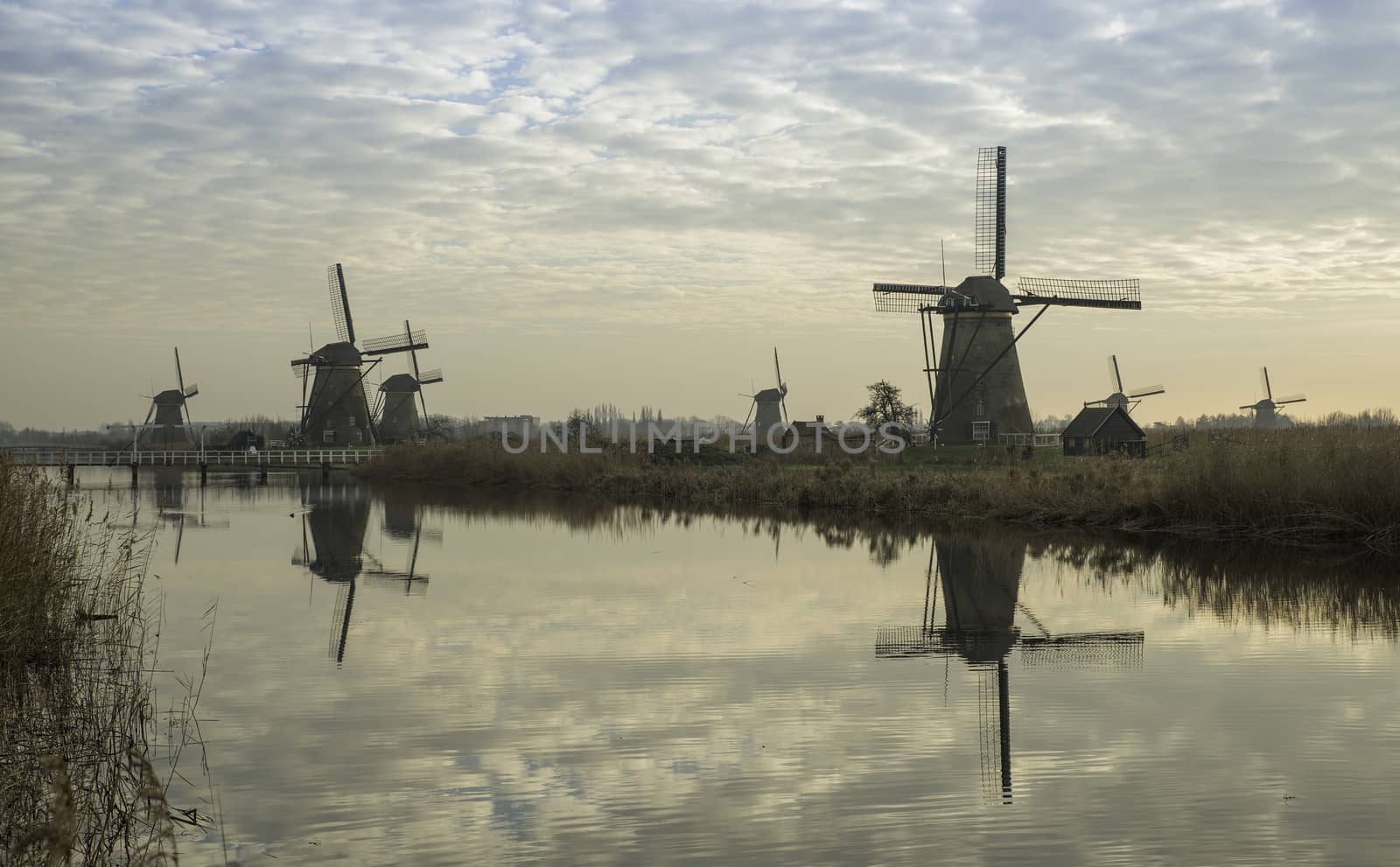 UNESCO World Heritage windmills in Kinderdijk in Holland europe, windmills at the water with reflection and twilight