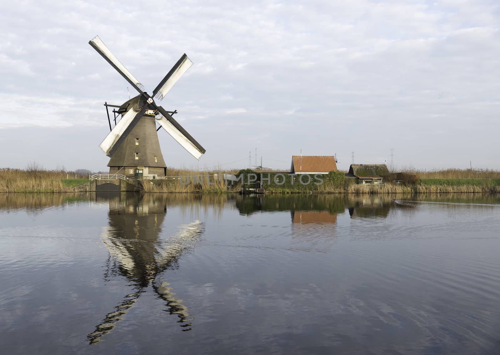 UNESCO World Heritage windmills in Kinderdijk in Holland europe, windmills at the water with reflection and twilight