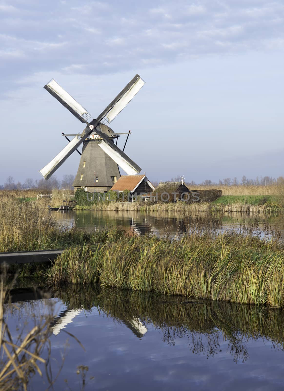 UNESCO World Heritage windmills in Kinderdijk in Holland europe, windmills at the water with reflection and twilight