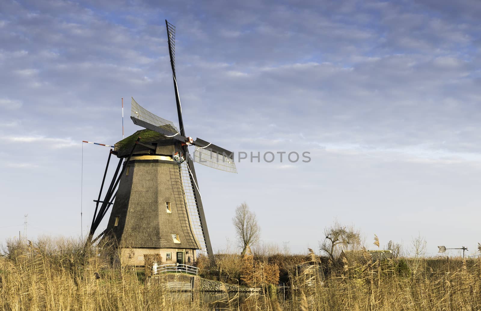 UNESCO World Heritage windmills in Kinderdijk in Holland europe, windmills at the water with reflection and twilight