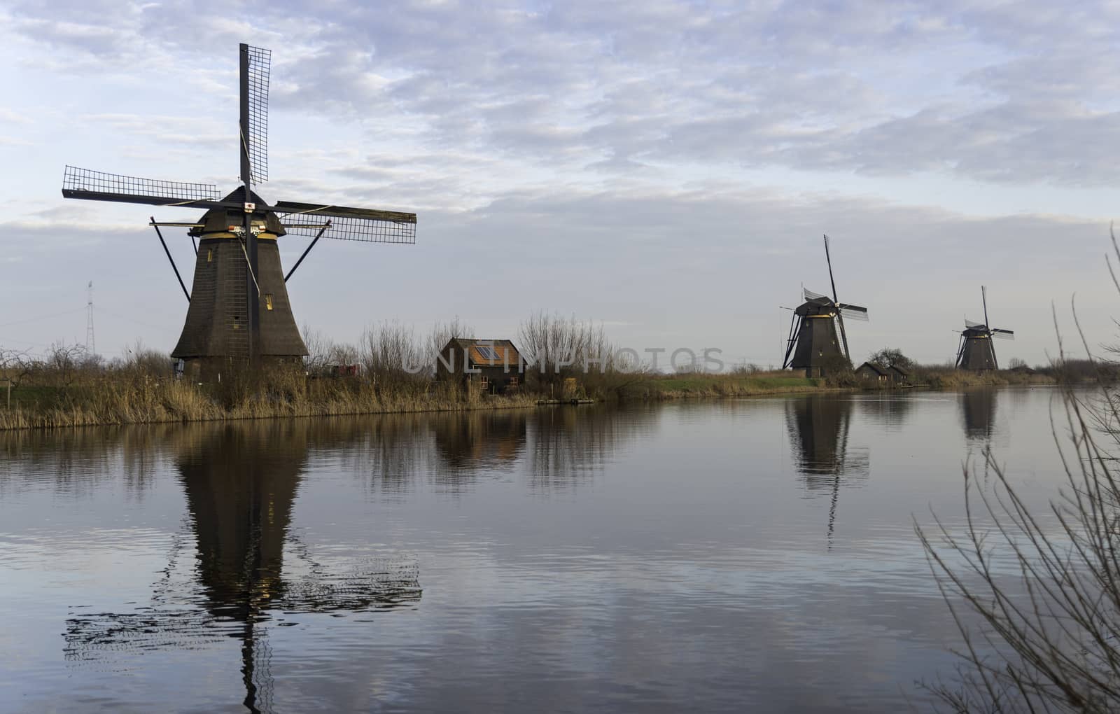UNESCO World Heritage windmills in Kinderdijk in Holland europe, windmills at the water with reflection and twilight
