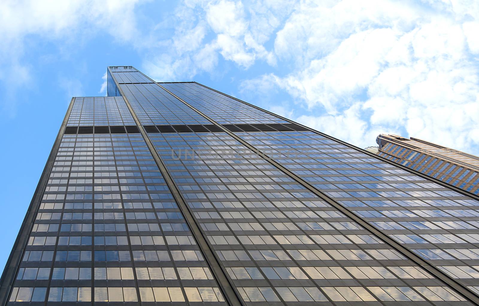 Willis tower in Chicago by rarrarorro