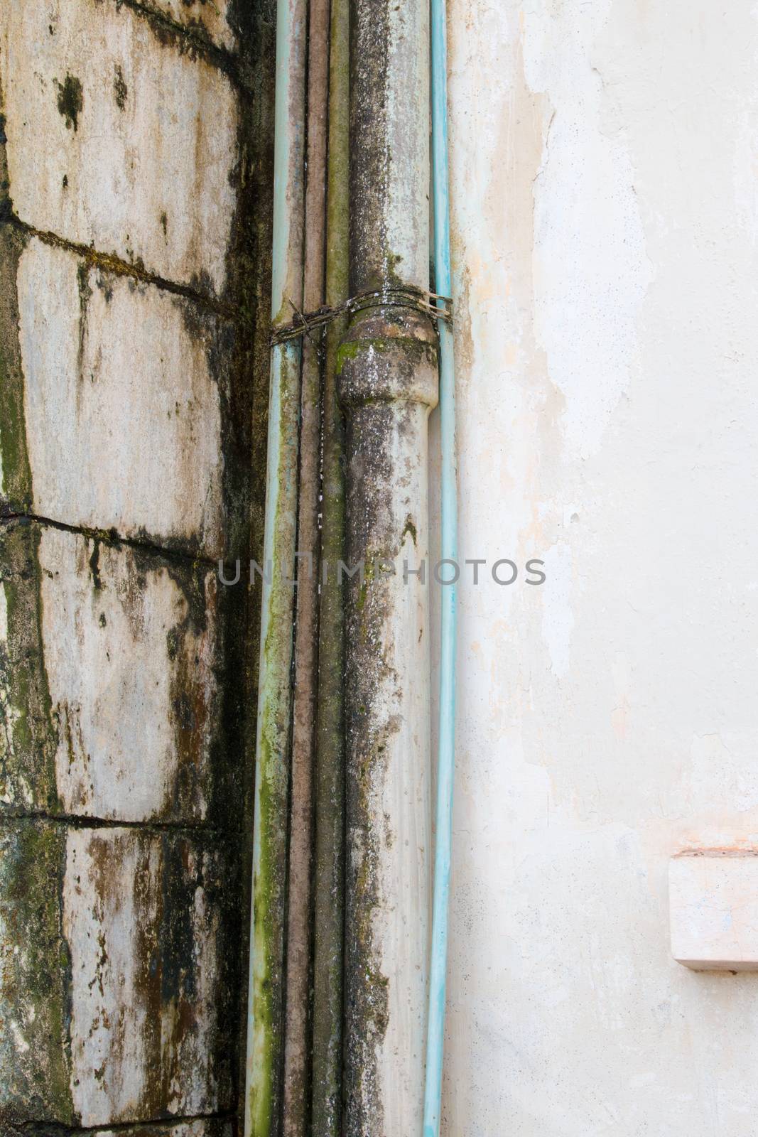 gutter metal rain drain pipe on the wall by N_u_T