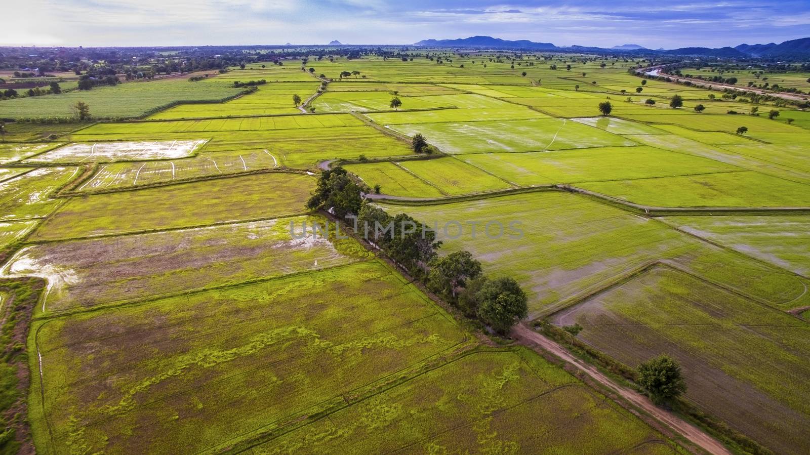 aerial view of rice paddy field in kanchanaburi thailand