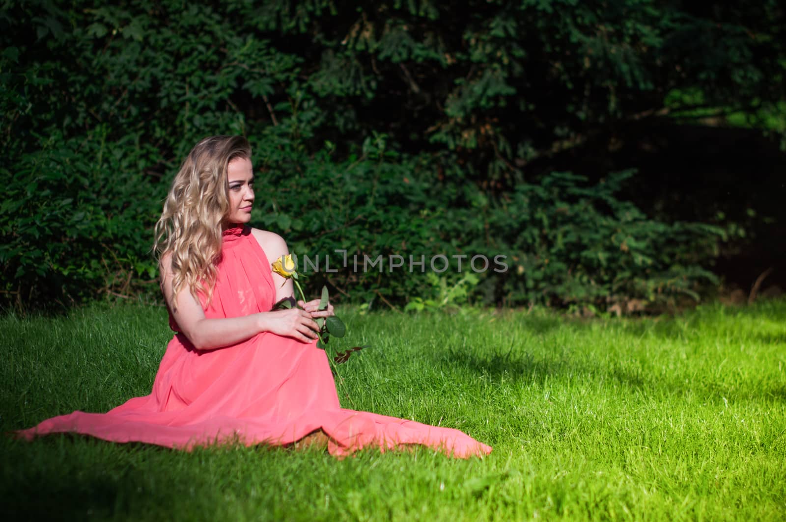 beautiful girl with a white rose in the Park on the grass