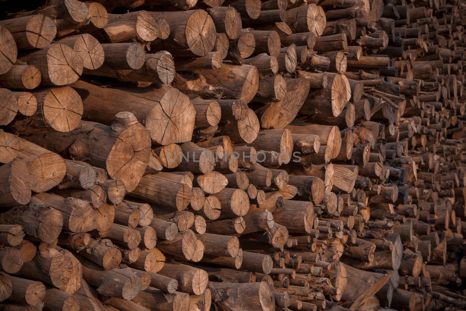 stack of mangrove wood for making cooking charcoal  by khunaspix