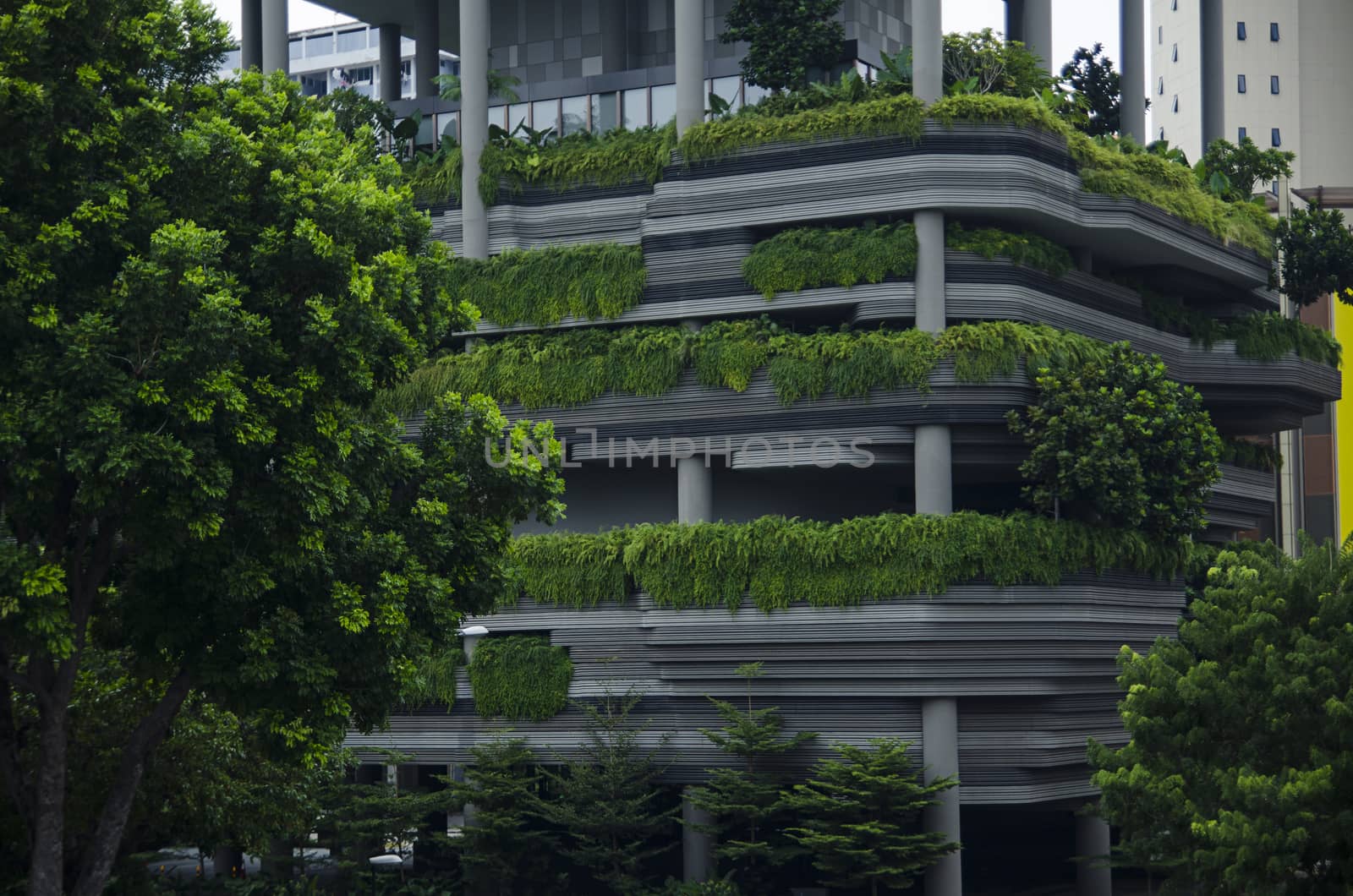 Modern skyscraper wall with green plants terraces