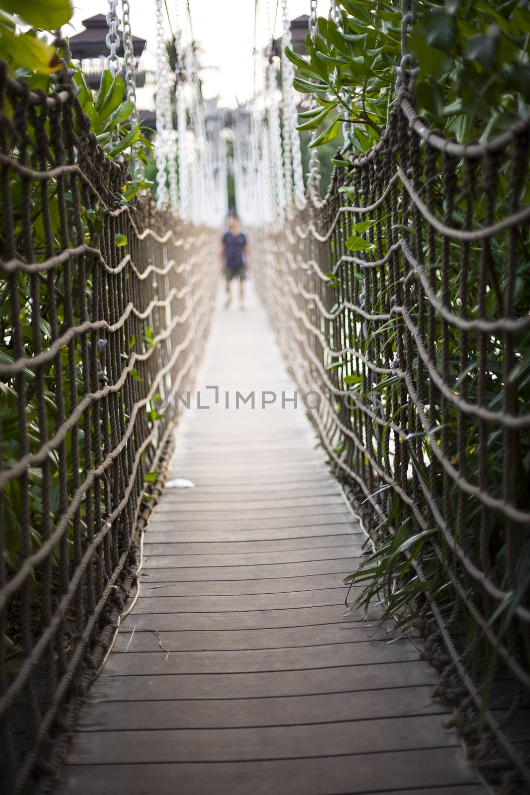 Cable bridge to the jungle in tropics
