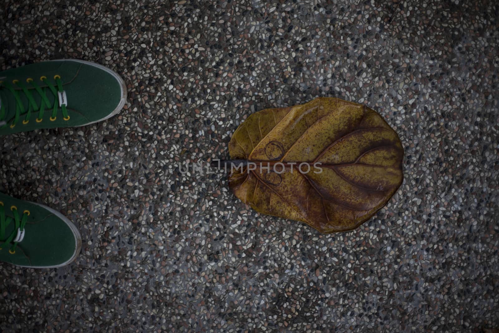 Yellow leaf on asphalt near green shoes