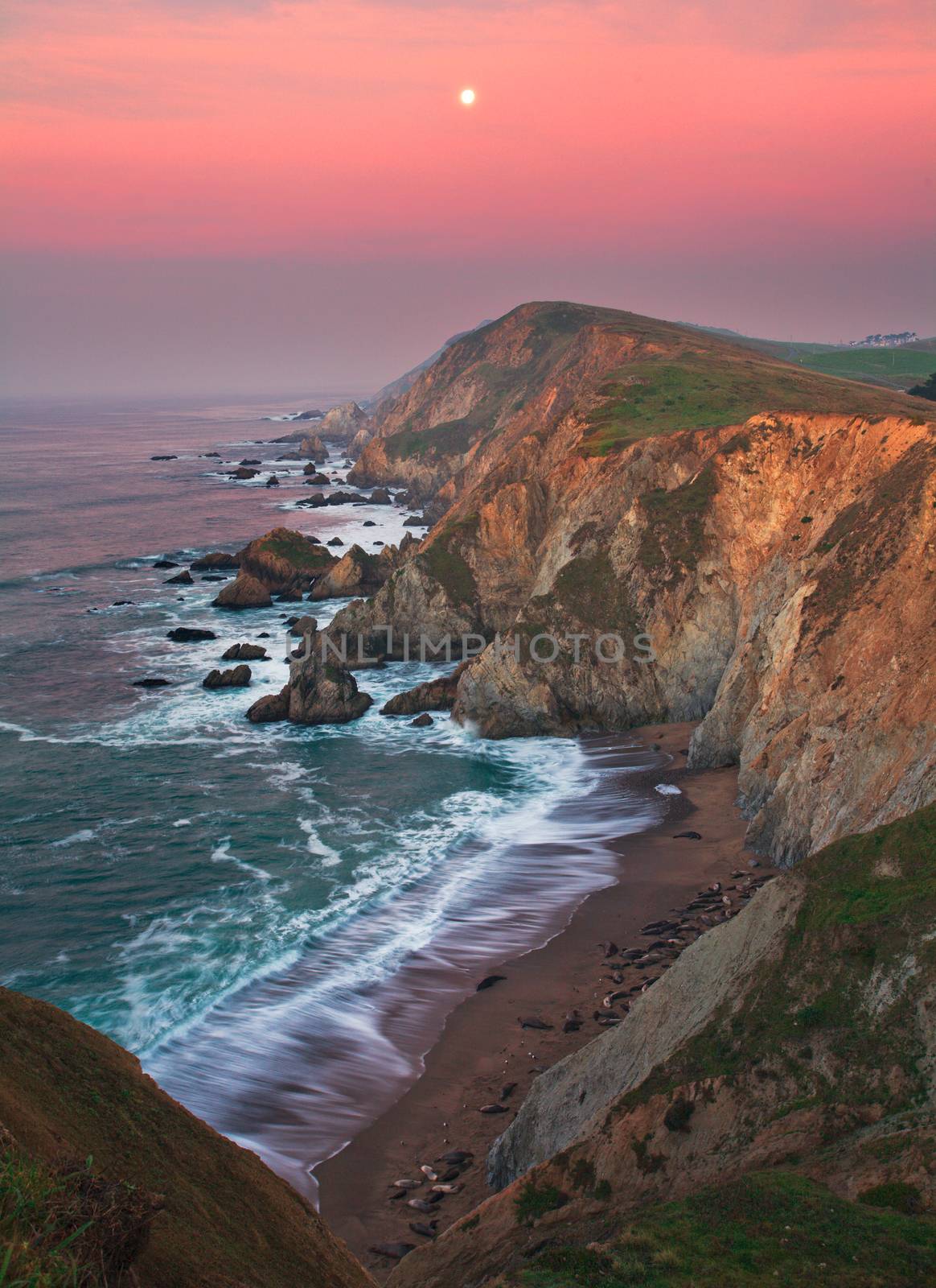 Point Reyes national seashore is just an hour north of San Francisco.