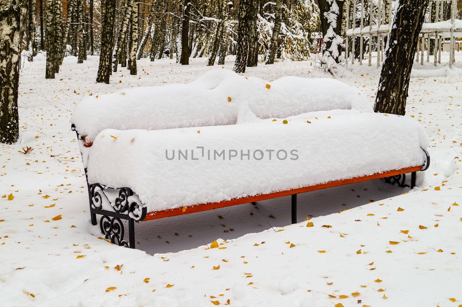 Bench in the park covered with snow