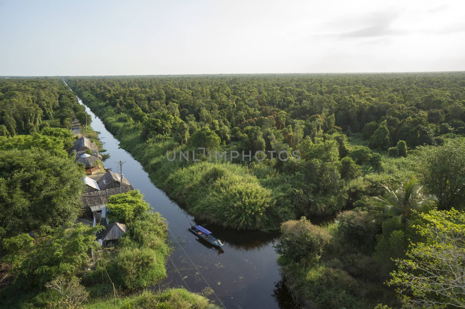 Aerial sunshine view of observatory of jungle