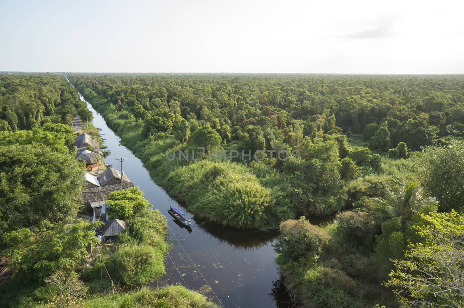 Aerial sunshine view of observatory of jungle